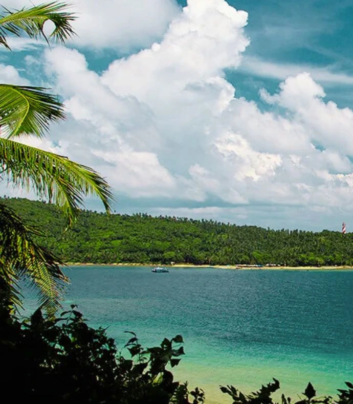Scenic island view by the best travel agency in Andaman and Nicobar